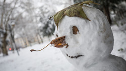 Schaufenster-Geschichten in Weinheim