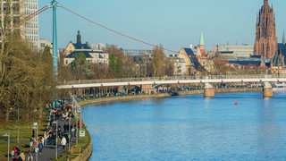Umfrage zu Grünanlagen in Frankfurt: Was gut ankommt und was nicht so