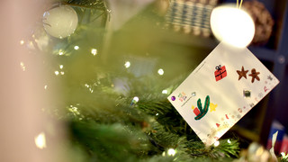 Nauheim und Babenhausen: Weihnachtswünsche am Wunschbaum erfüllen