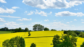 Das Wetter für Hessen am Wochenende: Auch mal schön...