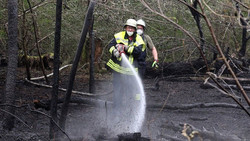Waldbrand im Vogelsbergkreis, Rettungskräfte vor Ort