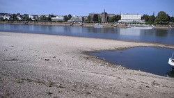 Rhein wird neu vermessen: Rekord-Niedrigwasser erschwert Schifffahrt