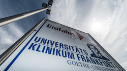 US-Ebola-Patient in Frankfurt gelandet