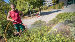 Darmstadt kämpft gegen Überhitzung: Neue Klimaanalyse
