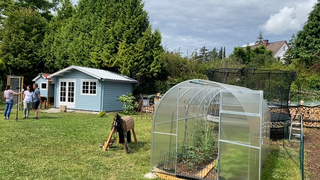 Garten-Streit in Seeheim: Familie kämpft um ihre Kinder-Oase