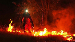 Waldbrände außer Kontrolle: Frankreich und Spanien rüsten sich für neue Hitze
