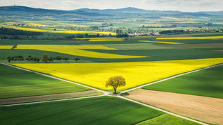 Die schönsten Aussichtspunkte in Hessen: Weitblick garantiert