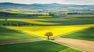 Die schönsten Aussichtspunkte in Hessen: Weitblick garantiert