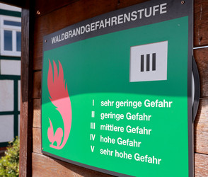 Waldbrandgefahr in Hessen steigt deutlich
