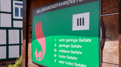 Waldbrandgefahr in Hessen steigt deutlich