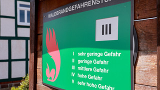 Waldbrandgefahr in Hessen steigt deutlich