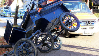 Pferdekutsche kippt bei Alsfeld um: Mutter und Tochter verletzt