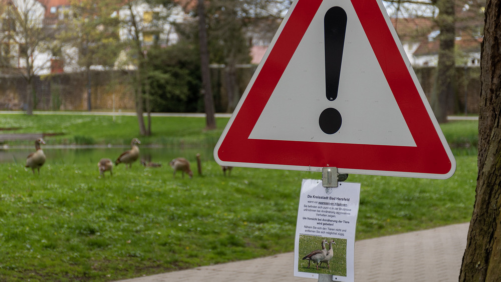 Mit Warnschildern macht die Stadt Bad Hersfeld auf die Nilgänse aufmerksam.