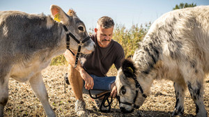 Silvia am Sonntag - der Talk mit "Kuhflüsterer" Joar Berge