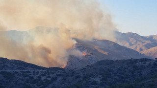 Griechenland kämpft gegen Dutzende Brände – Feuerwehr am Limit