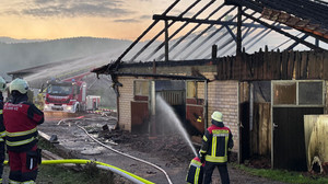Tragödie in Reithalle: Zehn Pferde bei Brand in Oberfranken gestorben