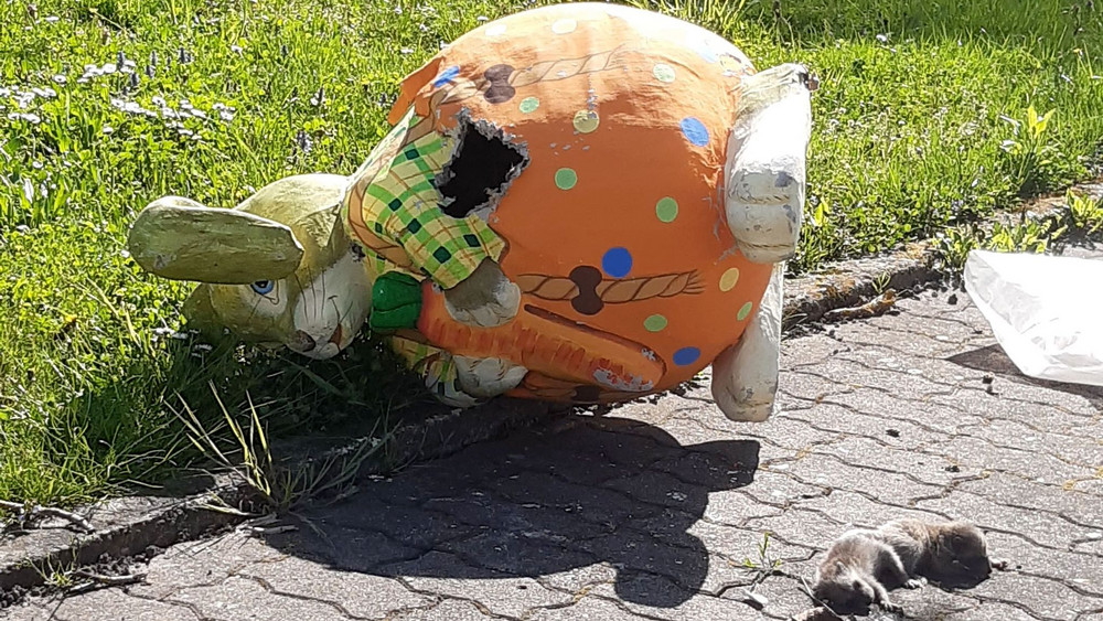 Waschbären-Nachwuchs im Osterhasen