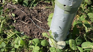 Straßenlaterne in Offenbach angezapft: Dreiste Idee, Strom zu sparen