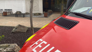 Wanderfalke nach "Jagdunfall" in Mainz gerettet