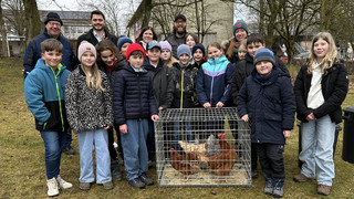 Grundschule in Gilserberg hat für drei Monate Miethühner