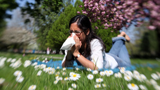 Erkältung oder Heuschnupfen: Das sind die Unterschiede