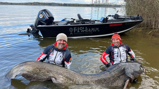 Spektakulärer Fang: Angler fangen diesen Riesenwels