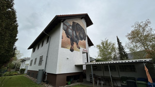 XXL-Graffiti in Münster-Altheim: Erinnerung an Dackel Lucky