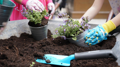 Garten für Anfänger: So klappts mit Gemüse, Kräutern und Pfl