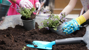 Garten für Anfänger: So klappts mit Gemüse, Kräutern und Pflanzen
