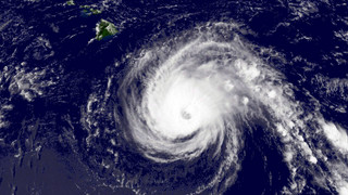 «Idalia» wird wohl zum Hurrikan - Florida bereitet sich vor