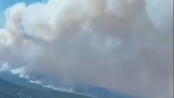 Notstand: Waldbrände in Spanien und Frankreich wüten weiter