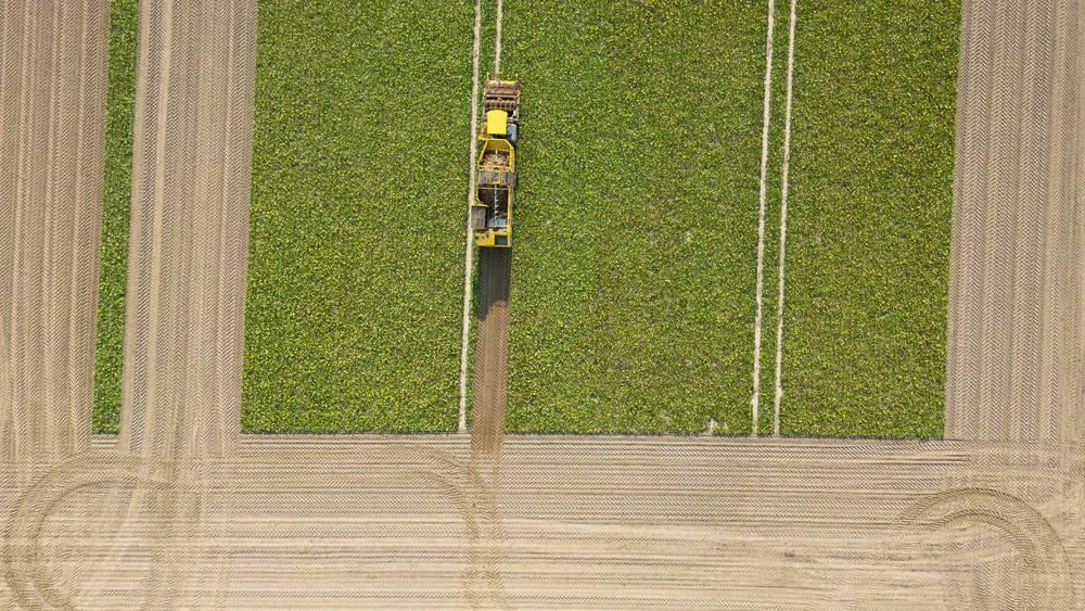 Landwirtschaft in Hessen