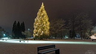 "Kinder-Weihnachtsbaum" in Bad Soden-Salmünster