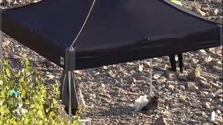 Bazooka-Rakete und Granate im Rhein: Koblenz bereitet Sprengung vor