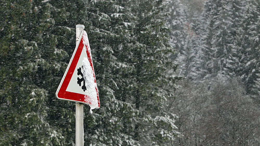 Lieber kein Winterspaziergang: Im Wiesbadener Stadtwald herrscht Gefahr für Leib und Leben. (Symbolbild)