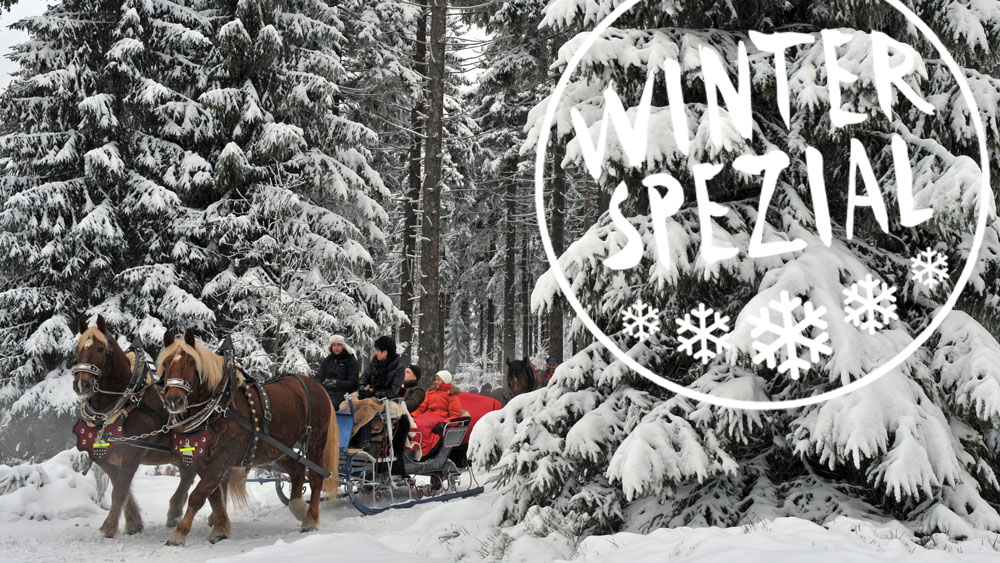 Mit dem Pferdeschlitten durch den Knüll