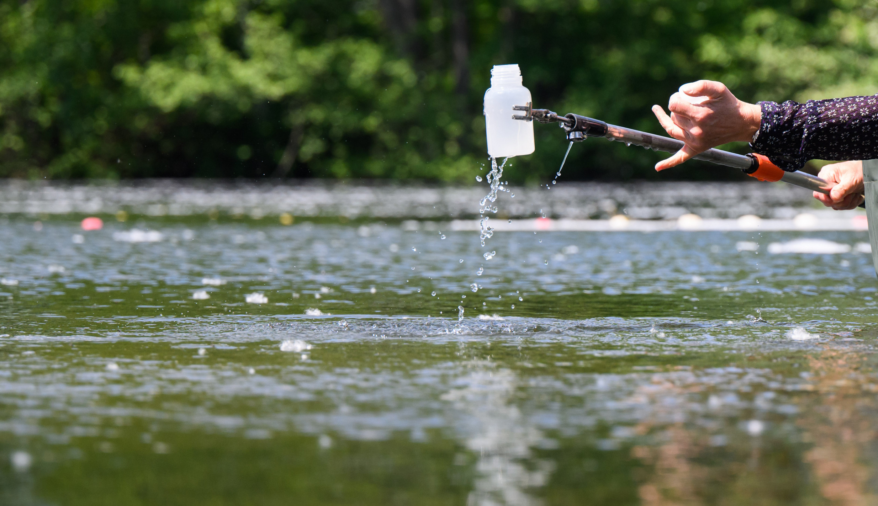 Wasserqualität in Badeseen: Hessens Gewässer schneiden sehr gut ab